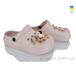 Кроксы Golden Lion